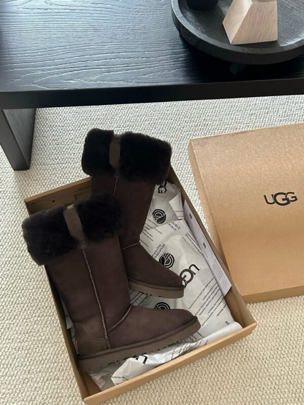 cmp_i1761153463873_7609_0_0.jpg UGG’s new winter boots feature a wool lining.