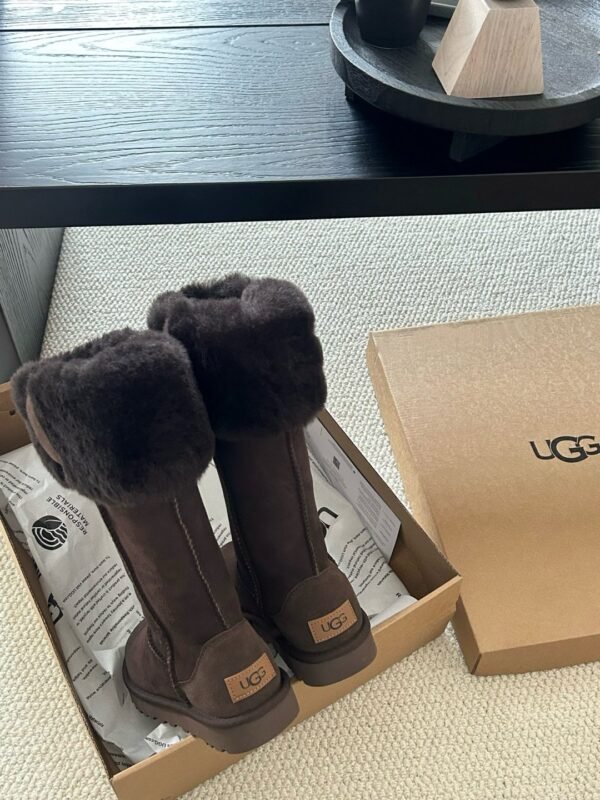 cmp_i1761153463873_9932_0_2.jpg UGG’s new winter boots feature a wool lining.