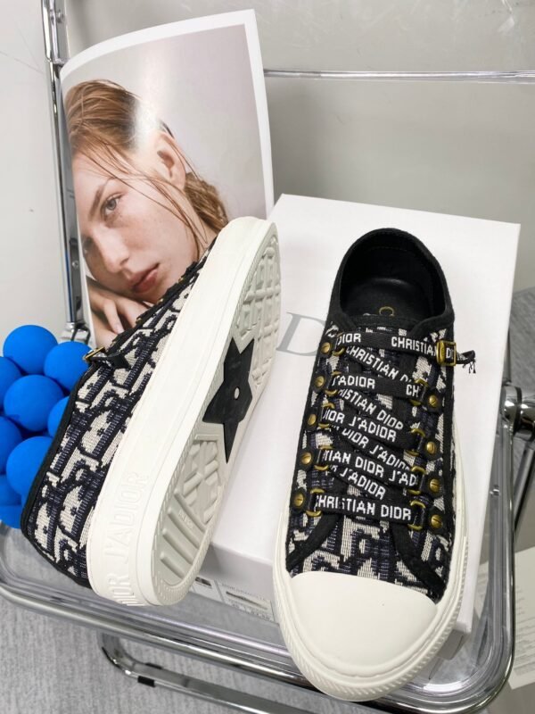 DIOR embroidered canvas flat casual shoes