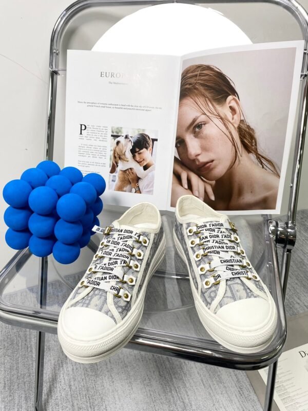 DIOR embroidered canvas flat casual shoes