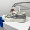 DIOR embroidered canvas flat casual shoes