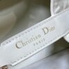 DIOR Toujours handbag, premium 1:1 quality size: 28.5x19x21cm