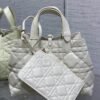 DIOR Toujours handbag, premium 1:1 quality size: 28.5x19x21cm
