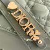 DIOR Cowhide patent leather Lady Diana handbag high-end version1:1 size 20x17x8cm