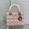 DIOR Official website 1:1 bag premium version 20×16.5×8cm