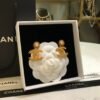 Chanel earrings Premium