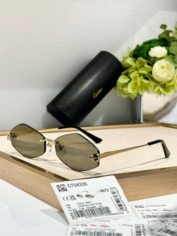 Cartier Sunglasses Premium Edition Size: 55-22-140 Mod：CT0433S