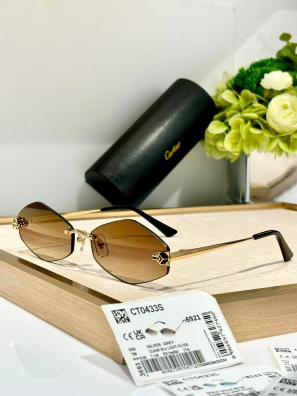Cartier Sunglasses Premium Edition Size: 55-22-140 Mod：CT0433S