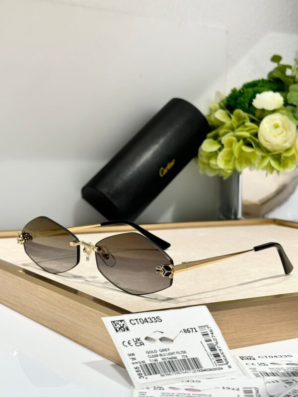 Cartier Sunglasses Premium Edition Size: 55-22-140 Mod：CT0433S