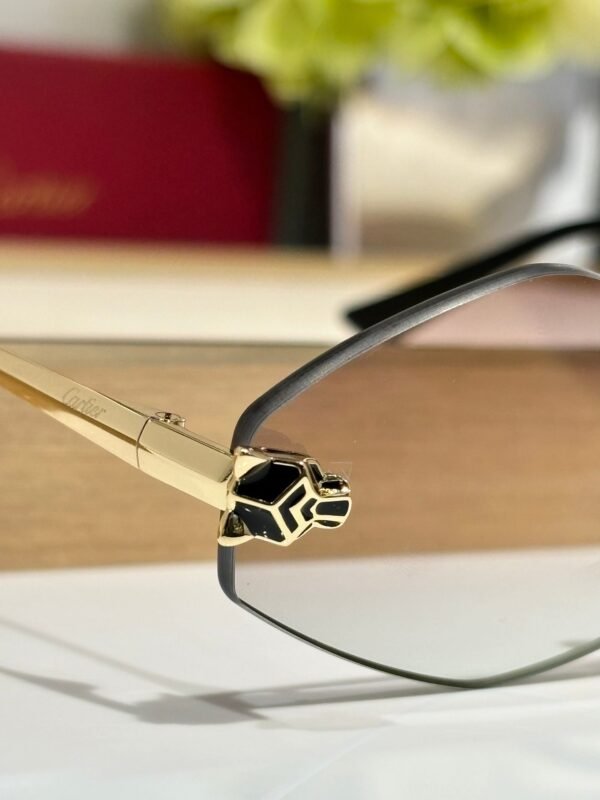 Cartier Sunglasses Premium Edition Size: 55-22-140 Mod：CT0433S