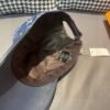 Louis Vuitton 1:1 original single denim cowhide embossed baseball cap