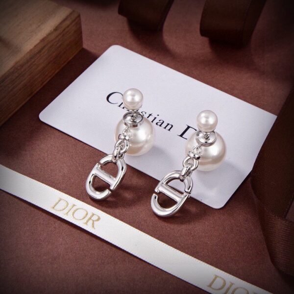 Dior CD Earrings