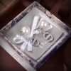 Dior CD Earrings