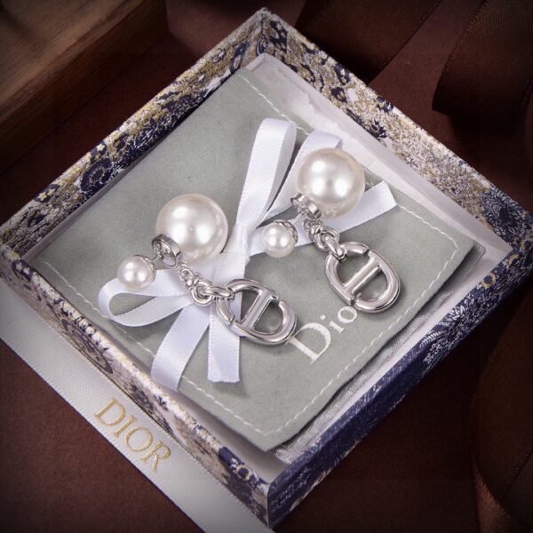 Dior CD Earrings
