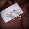 Dior CD Earrings