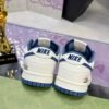 Gucci & Nike Dunk SB Series GREEN BLUE