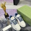 Gucci & Nike Dunk SB Series GREEN BLUE