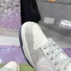 Gucci & Nike Dunk SB series