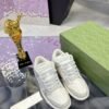 Gucci & Nike Dunk SB series