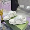 Gucci & Nike Dunk SB series