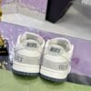 Gucci & Nike Dunk SB series