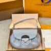 Louis Vuitton new bag, premium cowhide version