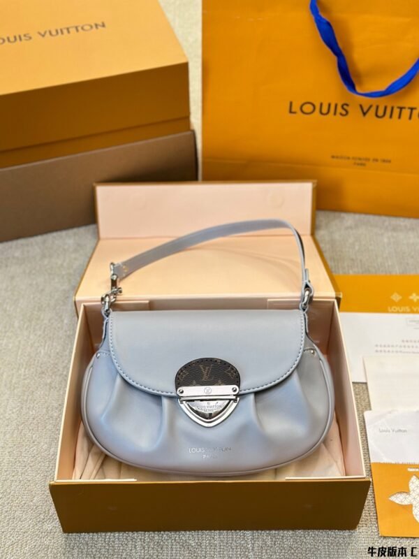Louis Vuitton new bag, premium cowhide version