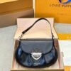Louis Vuitton new bag, premium cowhide version