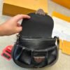 Louis Vuitton new bag, premium cowhide version