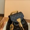 Louis Vuitton Backpack