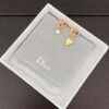 DIOR  New Heart Asymmetrical Earrings CD
