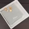 DIOR  New Heart Asymmetrical Earrings CD