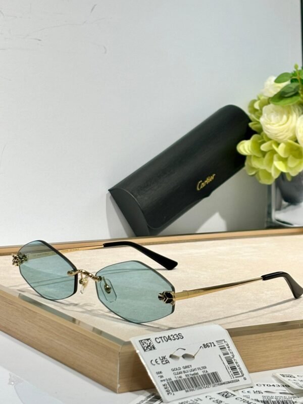 Cartier Sunglasses Premium Edition Size: 55-22-140 Mod：CT0433S