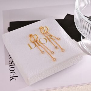 i1731726161_4051_6.jpg Dior new tassel earrings New Premium Edition