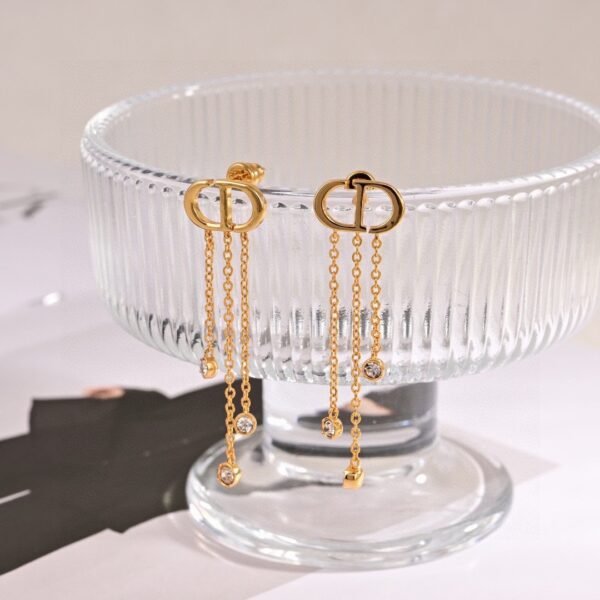 Dior new tassel earrings New Premium Edition