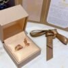 BVLGARI Ceramic earrings Premium