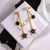 DIOR earrings new models