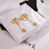 DIOR new earrings Premium