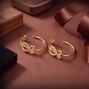 i1732764090_2179_6.jpg LOEWE earrings premium version 1:1