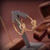 LOEWE earrings premium version 1:1
