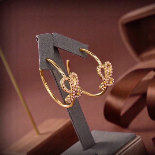 LOEWE earrings premium version 1:1