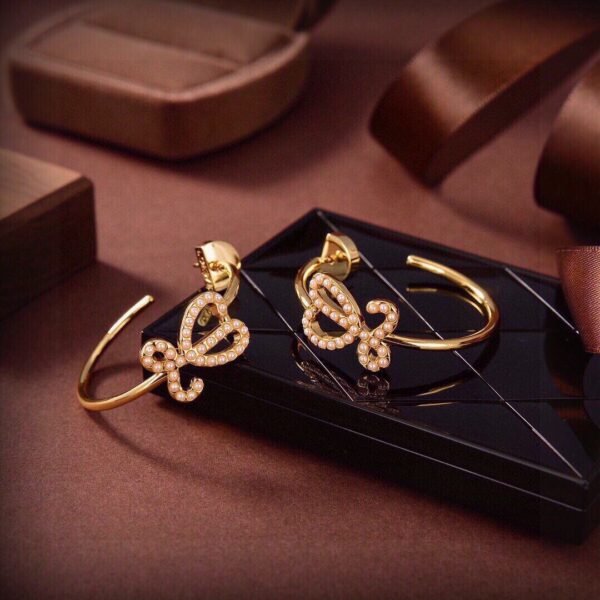 LOEWE earrings premium version 1:1