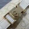 DIOR New bag