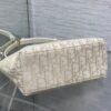 DIOR New bag