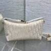 DIOR New bag