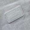 DIOR New bag