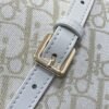 DIOR New bag