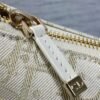 DIOR New bag
