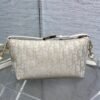 DIOR New bag