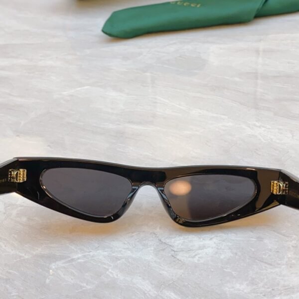 GUCCI new sunglasses advanced version